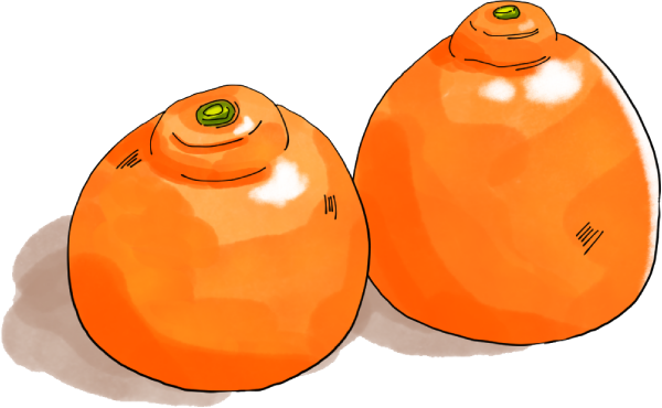 ミネオラオレンジのイラスト