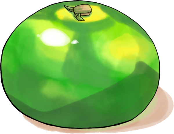 極早生みかんのイラスト