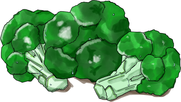 ブロッコリーのイラスト