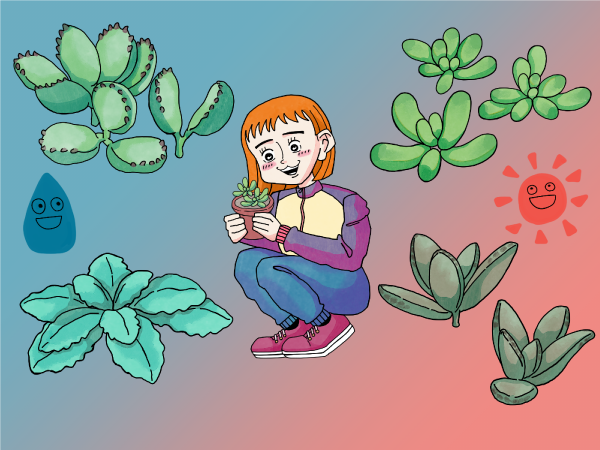 多肉植物を育てる女の子のイラスト