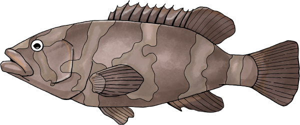 クエのイラスト